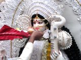 Saraswati Puja 2015-11